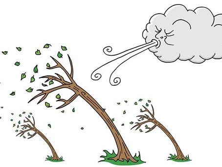 The Quiet Strength Within – Redefining Resilience