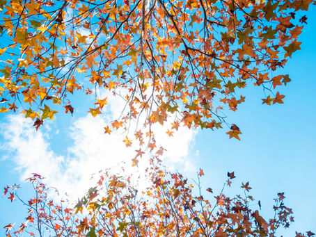 Why are we all so stressed?