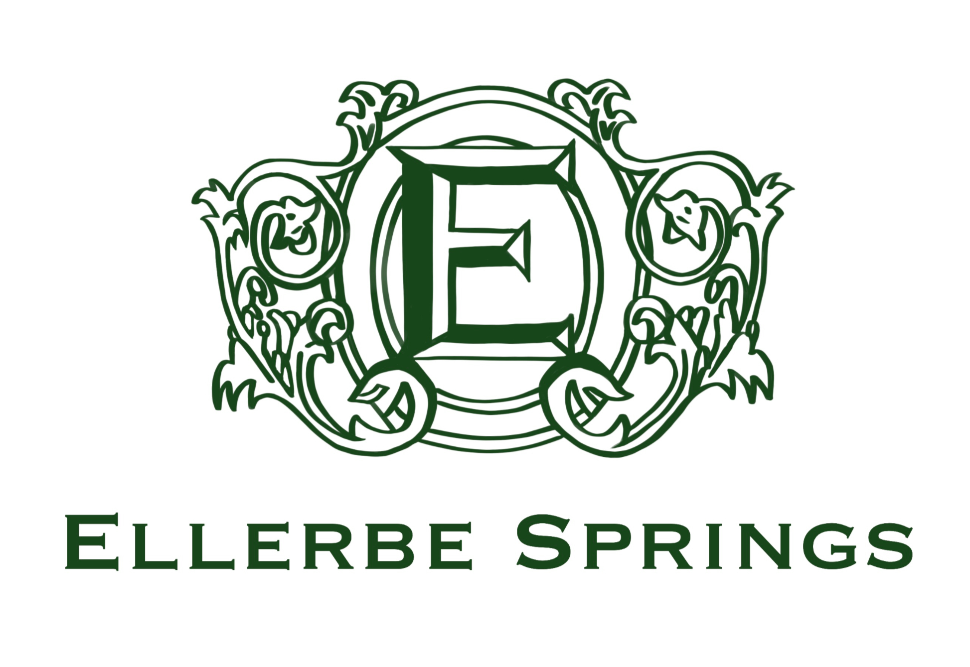 Ellerbe Springs - Main photo