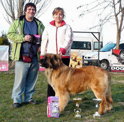 Kessy Lowe von Blumengarten