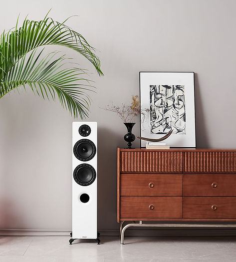 Elipson Prestige Facet II 14F