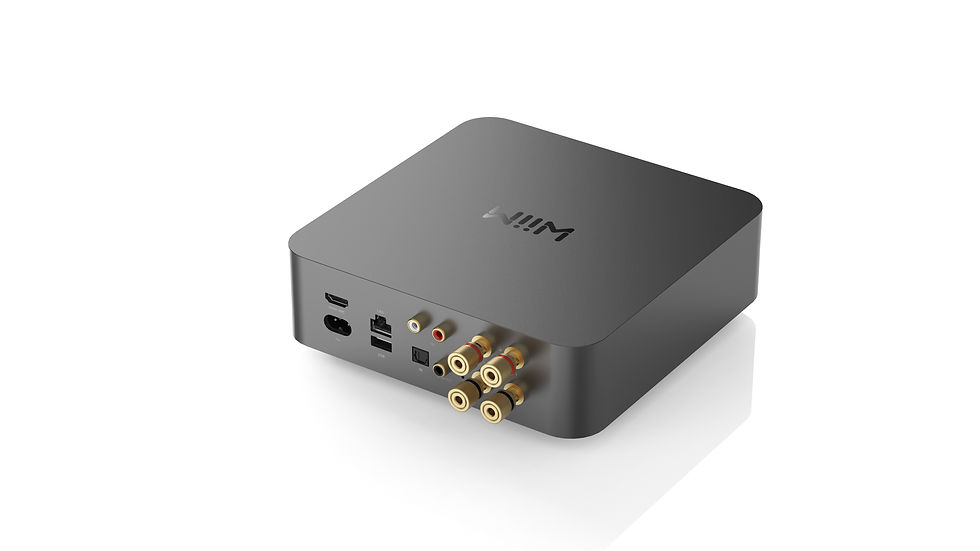 Miniature : Wiim AMP Pro