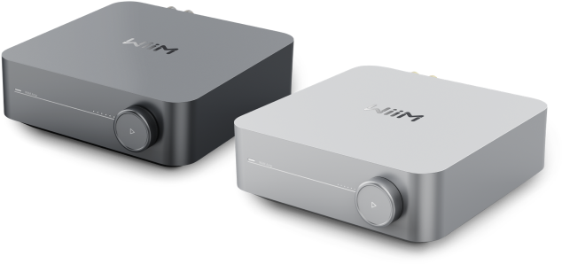 Wiim Amp Silver et Space Grey.webp
