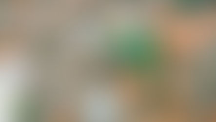 Publication: Pathways towards successful urban community waste management: Insight from 26 experiments in China