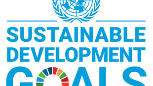 New study: Global sustainable development trends reveal widespread inequality and tradeoffs