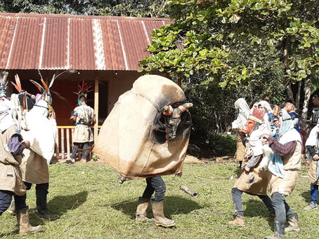 La fiesta de los Diablitos - vacaciones parte 4