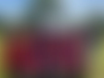 Fußball in Costa Rica