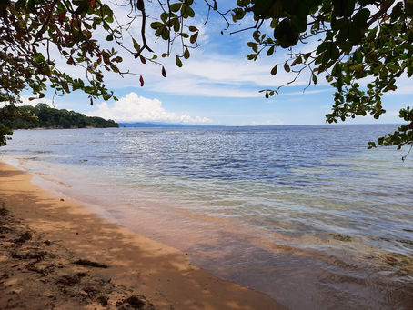 Erste Woche (Teil 1)