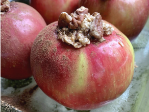 Cinnamon Oat Baked Apples