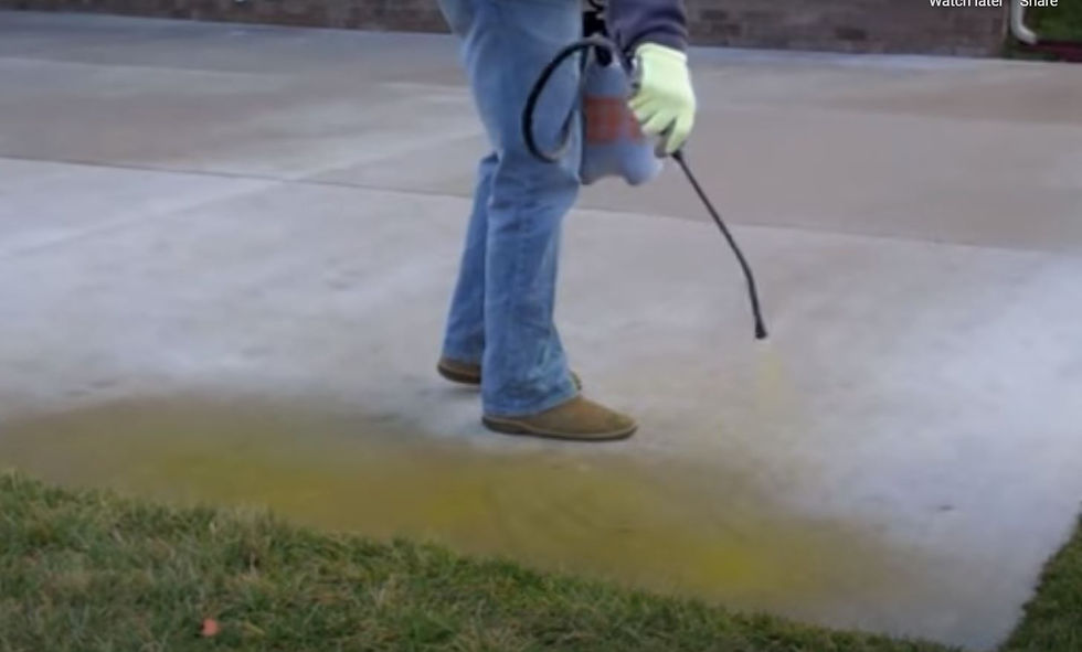 Thumbnail: CHAPIN ACID STAIN SPRAYER
