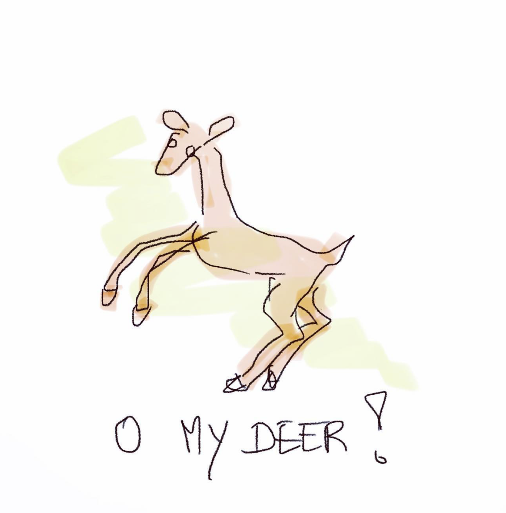 Deer