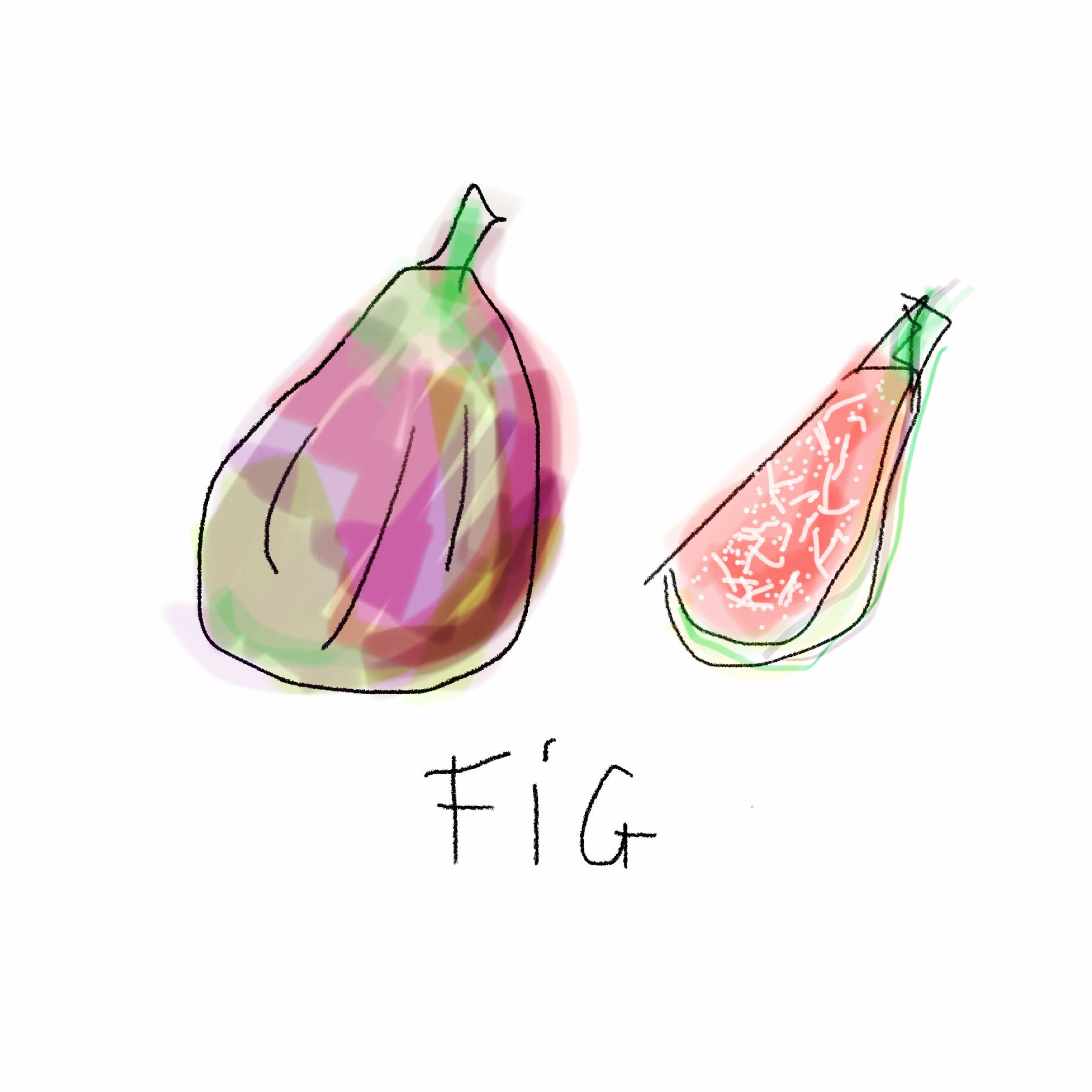 Fig