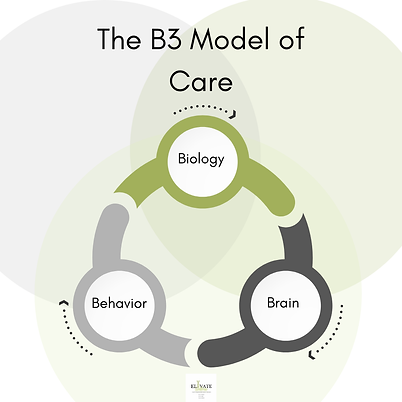 Graphic of the B3 Model of Care™