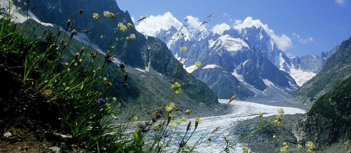 Mont Blanc