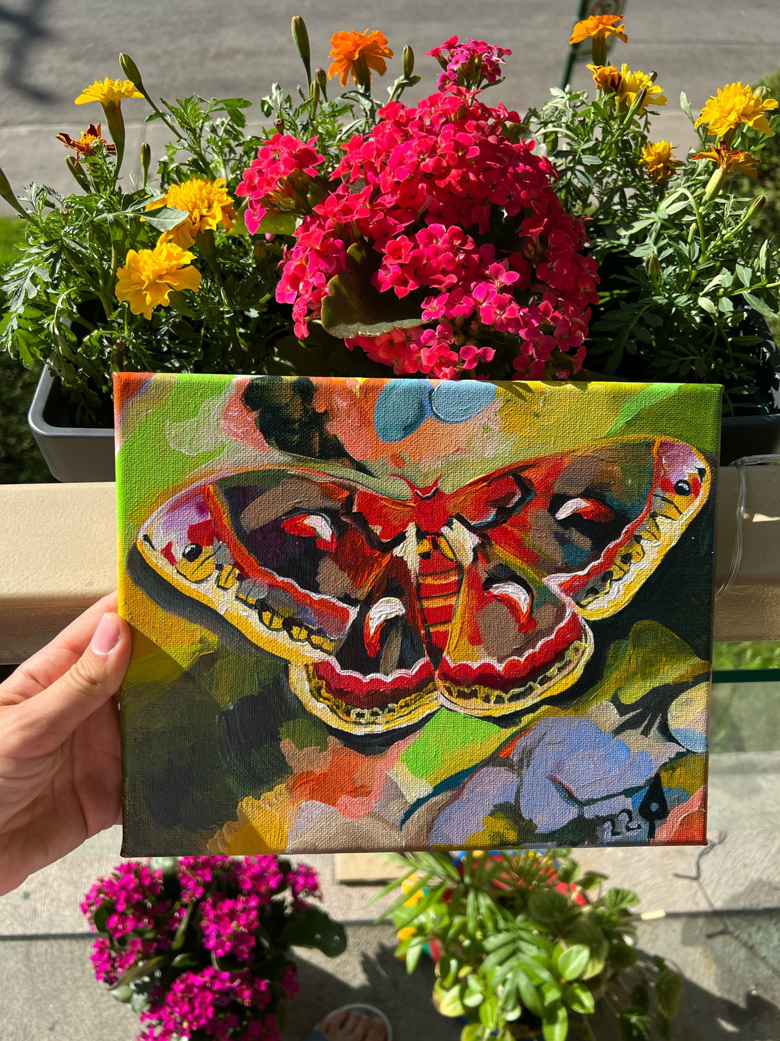 Robin Moth with Robin Eggs