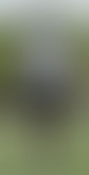 Awarded Win Following Forfeit