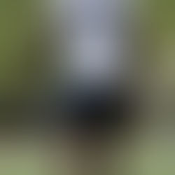 Awarded Win Following Forfeit