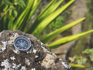 Conscience vs. Inner Authority: Knowing the Difference