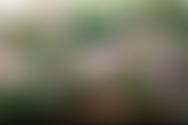 GORGEOUS CHRISTMAS TABLE DECORATIONS