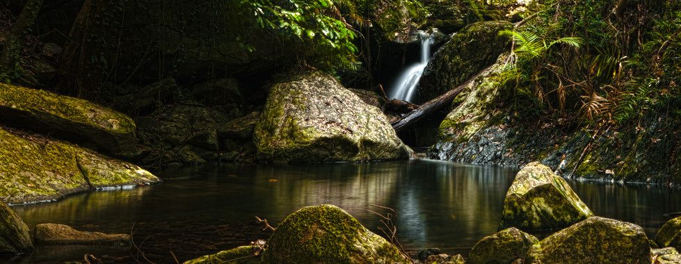 HDR is perfect for rainforest photos
