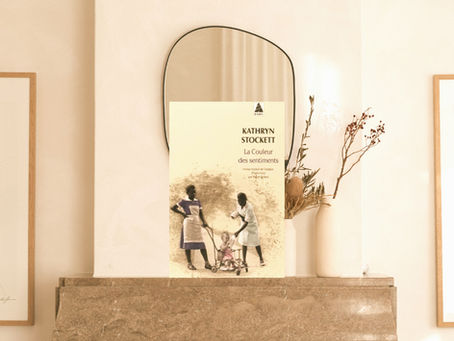 photo du livre la couleur des sentiments