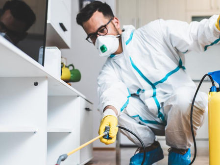 Houston Pest Control