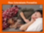 "Safe & Effective Flea Control Solutions for Your Home - Houston Pest Control"