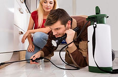 Professional-Pest-Control-Service-in-Houston.jpg