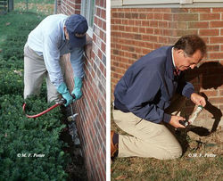 Exterior Foundation Pest Control