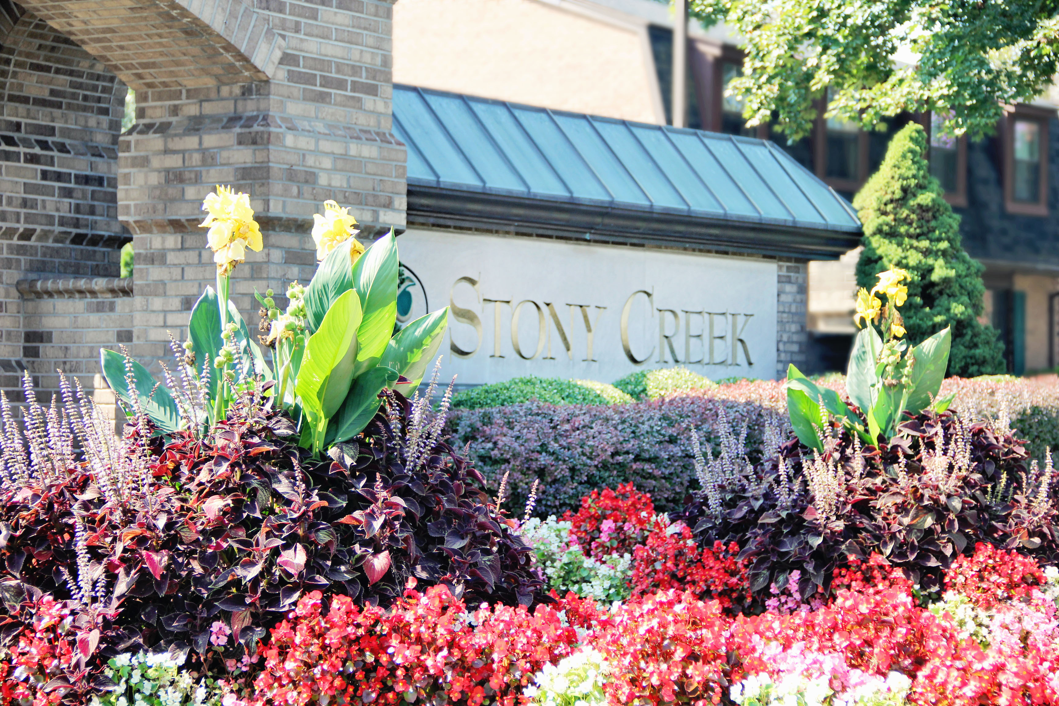 Stoney Creek Apartments In Greece Ny
