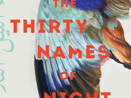 The Thirty Names of Night by Zeyn Joukhadar (Book #18)