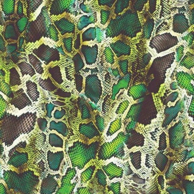 snake background.jpeg