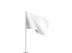 Flaggen.png