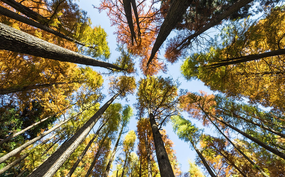 Online Retreat with Fr. Tom October 27-29, 2023