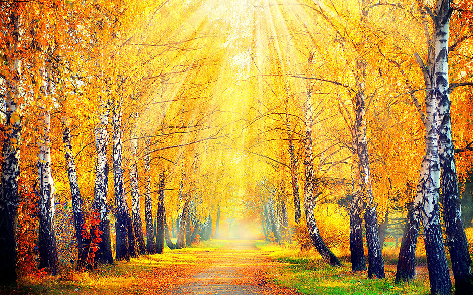 Online Retreat with Fr. Tom September 13-15, 2022