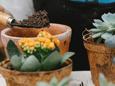 Accessori indispensabili per la protezione personale in giardino