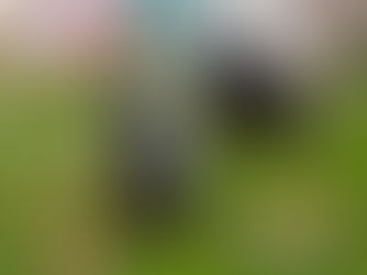 Increase Event Success with Pygmy Goats