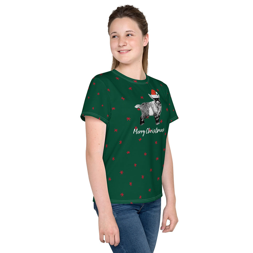 Thumbnail: Merry Christmas Youth crew neck t-shirt