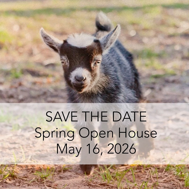 2026 Spring Open House - 1pm-3pm