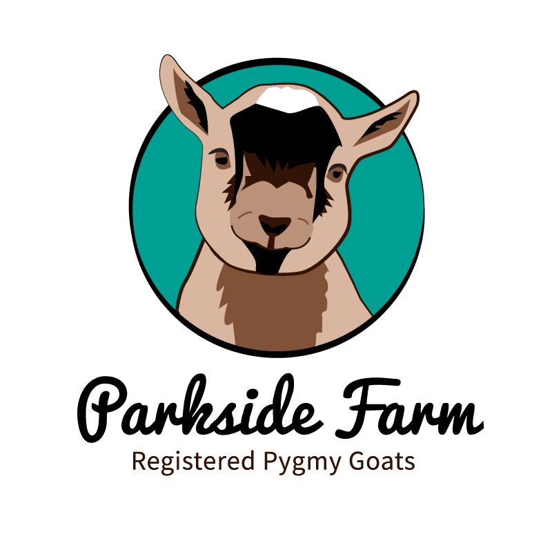 Thumbnail: Samson Plush Pygmy Goat