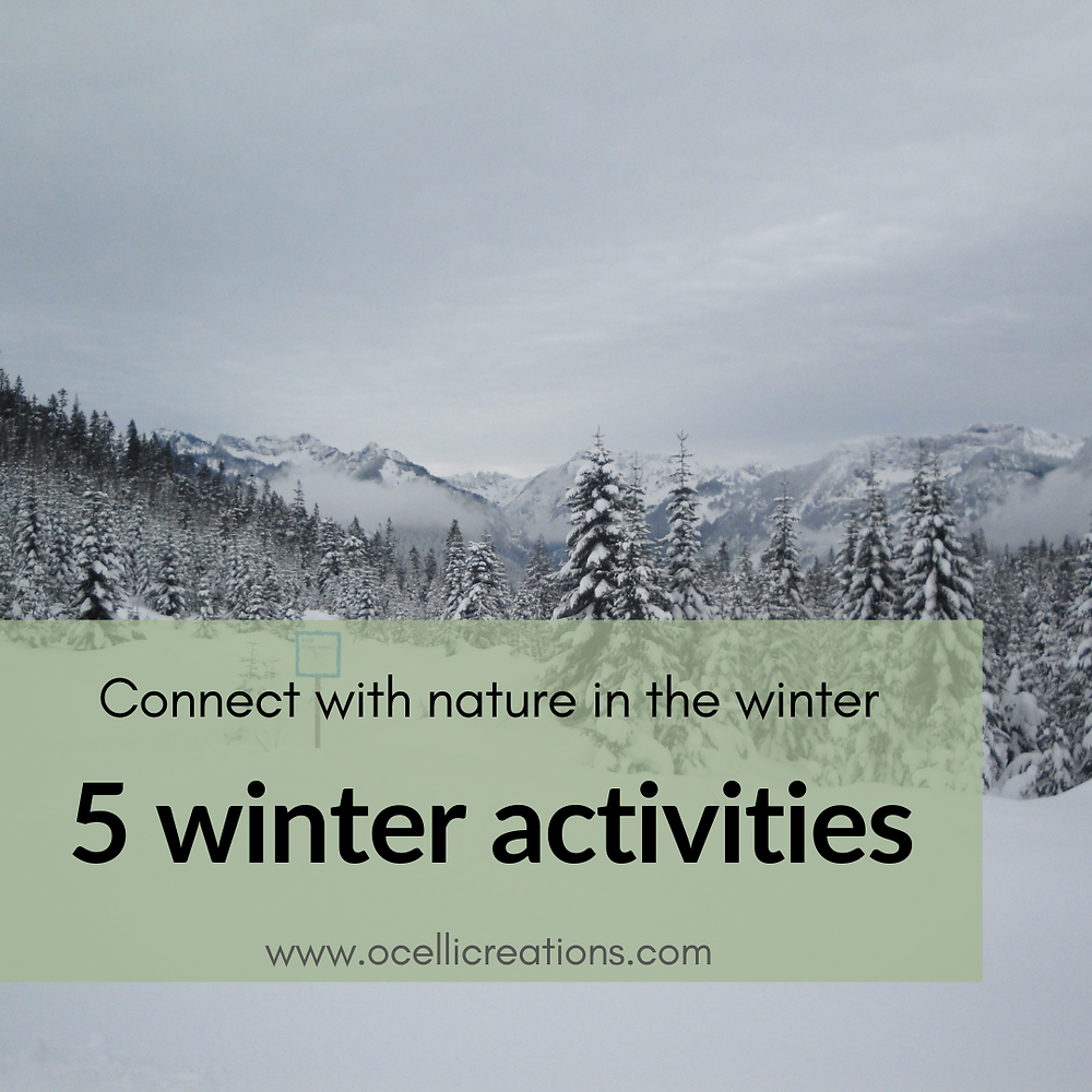 Connect with nature in the winter // 5 winter activities