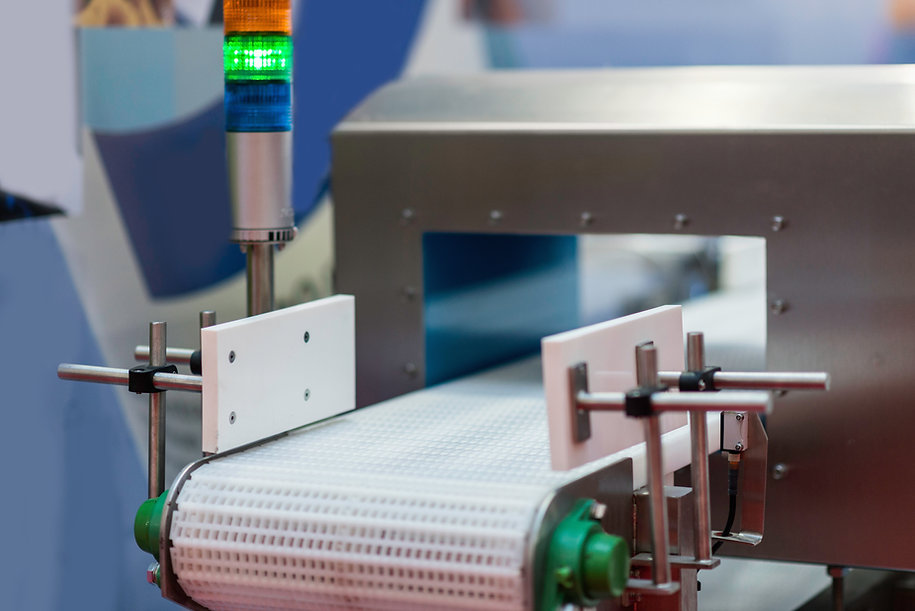 DETECTOR METALES