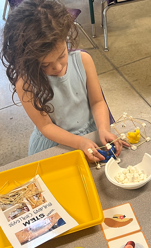 Magnolia_Preschool_Science_Project