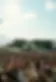 Parklife.webp