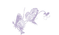 LS_butterfly_CardB_color