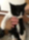 7月27日③.jpeg