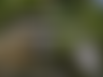 Betriebsferien vom 20.12.25 bis 11.1.2026