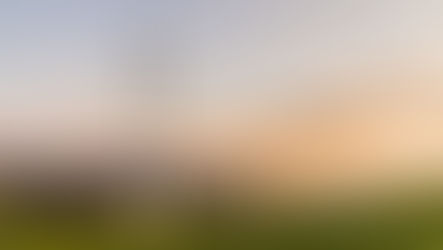 Environmental Credits Portfolio Guidance