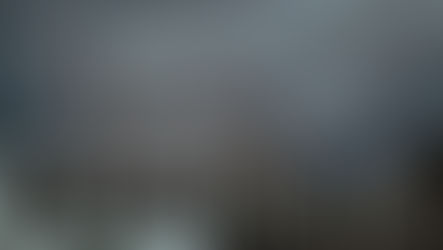 Carbon Market Navigation