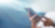 Cloud Phone